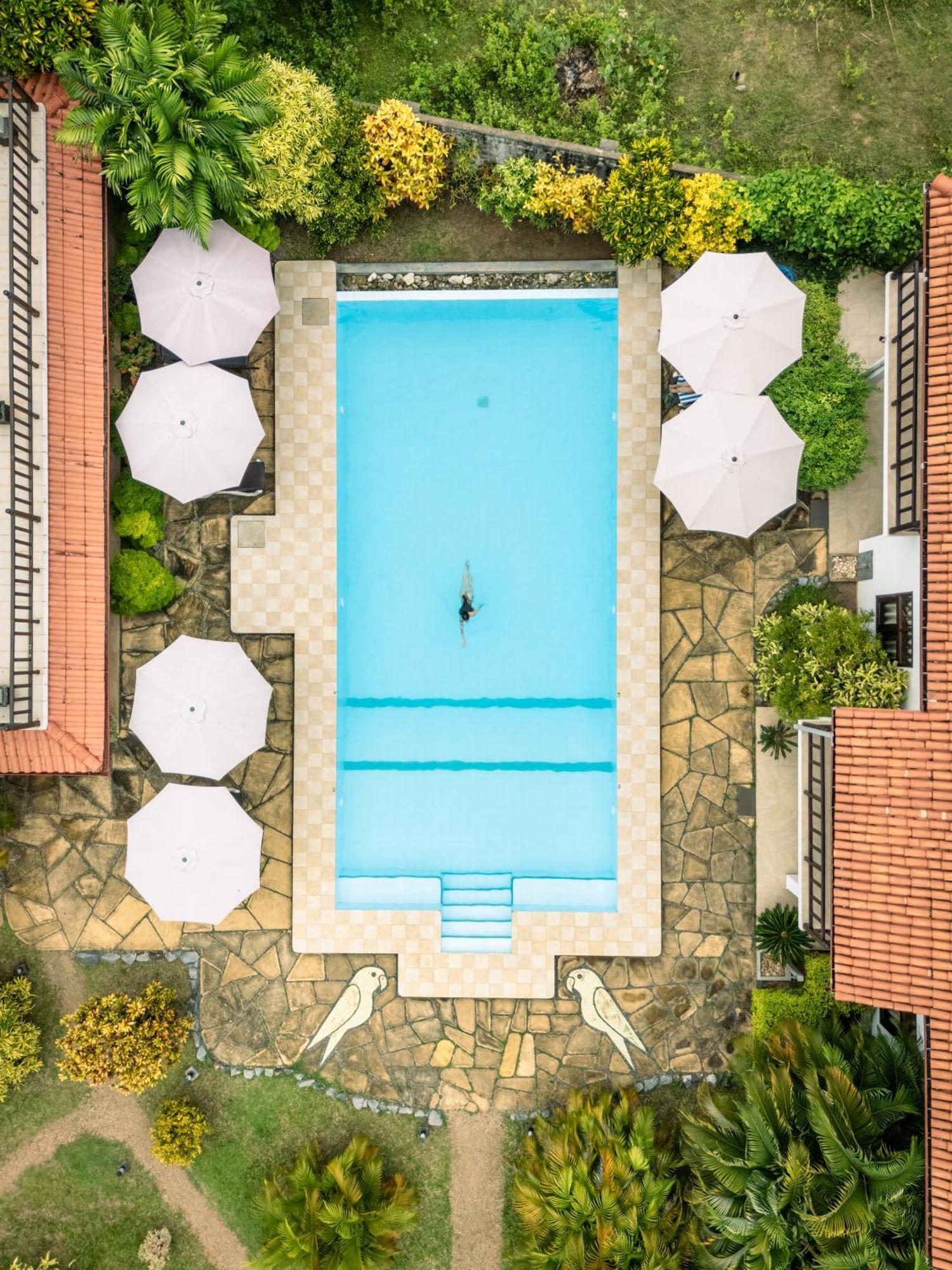 Green Parrot Beach Resort 坦加拉 外观 照片