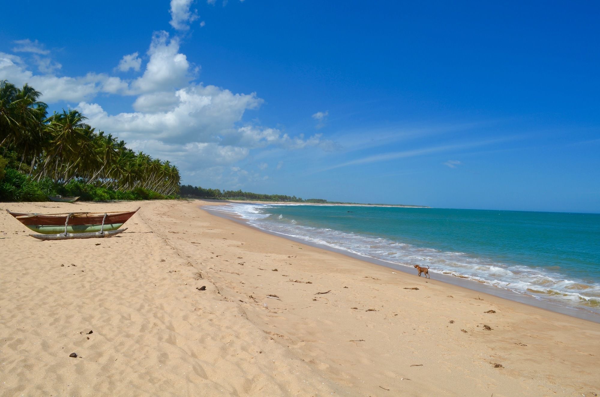 Green Parrot Beach Resort 坦加拉 外观 照片
